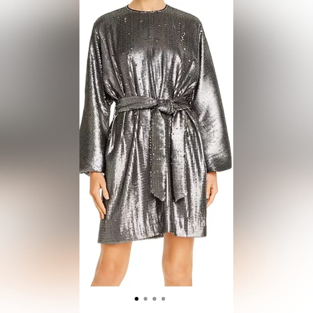 Anine Bing Angie Balloon-Sleeve Matte Sequin Dress